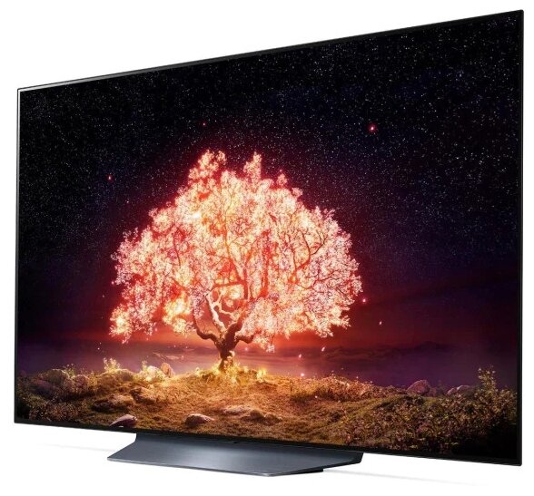 Телевизор OLED LG OLED55B1RLA 55", серый